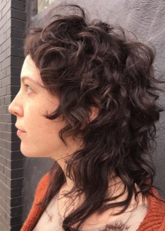 Стрижка шеггі (76 фото): особливості зачіски. Як її укладати в домашніх умовах? Стрижка на прямі і хвилясті волосся