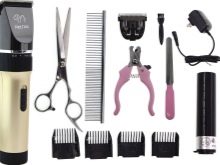 Стрижка ши-тцу (26 фото): грумінг дівчаток і хлопчиків, коротка стрижка «плюшевий ведмедик» для цуценяти. Як правильно підстригти морду в домашніх умовах?