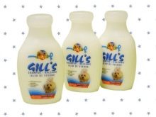 Стрижка ши-тцу (26 фото): грумінг дівчаток і хлопчиків, коротка стрижка «плюшевий ведмедик» для цуценяти. Як правильно підстригти морду в домашніх умовах?