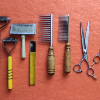 Стрижка собак (34 фото): як підстригти собаку в домашніх умовах? Інструменти і стіл для стриппинга. Як правильно стригти цуценя ножицями? Як називається гребінець для тримінгу?