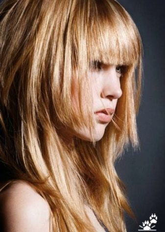 Стрижка «італійка» на середні волосся (45 фото): італійські жіночі зачіски з чубком і без неї, йде стрижка дівчатам з хвилястим волоссям середньої довжини?