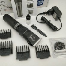 Стрижки мальтезе (27 фото): стрижки мальтійських болонок в корейському стилі і інші варіанти для хлопчиків і дівчаток