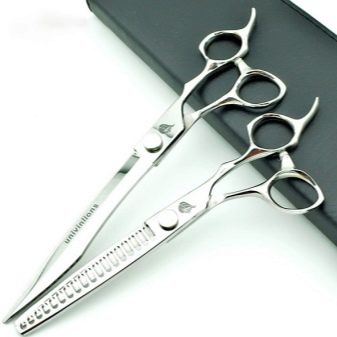 Стрижки мальтезе (27 фото): стрижки мальтійських болонок в корейському стилі і інші варіанти для хлопчиків і дівчаток