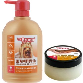 Стрижки мальтезе (27 фото): стрижки мальтійських болонок в корейському стилі і інші варіанти для хлопчиків і дівчаток