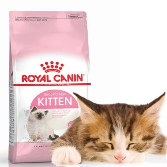 Сухий корм для кошенят: рейтинг кращих кормів за якістю. Потрібно його розмочувати? Відгуки ветеринарів