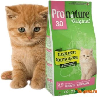 Сухий корм для кошенят: рейтинг кращих кормів за якістю. Потрібно його розмочувати? Відгуки ветеринарів