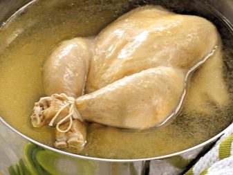 Сухий корм для кошенят: рейтинг кращих кормів за якістю. Потрібно його розмочувати? Відгуки ветеринарів