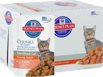 Сухий корм для стерилізованих кішок: рейтинг кращих кормів для кастрованих котів. Можна вибирати для кастратів корми нижче преміум-класу?