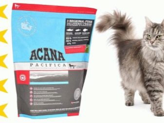 Сухий корм для стерилізованих кішок: рейтинг кращих кормів для кастрованих котів. Можна вибирати для кастратів корми нижче преміум-класу?