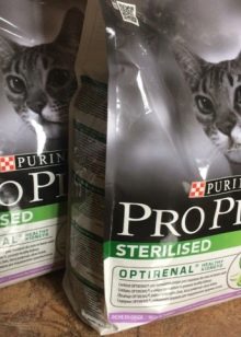 Сухий корм для стерилізованих кішок: рейтинг кращих кормів для кастрованих котів. Можна вибирати для кастратів корми нижче преміум-класу?