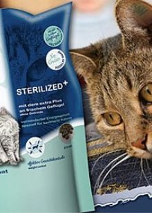 Сухий корм для стерилізованих кішок: рейтинг кращих кормів для кастрованих котів. Можна вибирати для кастратів корми нижче преміум-класу?