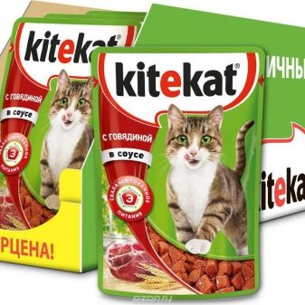 Сухий корм для стерилізованих кішок: рейтинг кращих кормів для кастрованих котів. Можна вибирати для кастратів корми нижче преміум-класу?