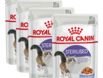 Сухий корм для стерилізованих кішок: рейтинг кращих кормів для кастрованих котів. Можна вибирати для кастратів корми нижче преміум-класу?