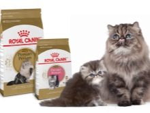 Сухий корм преміум-класу для кішок: рейтинг і список кращих кормів для котів, відгуки