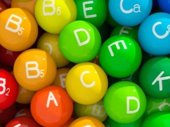 Сухий корм преміум-класу для кішок: рейтинг і список кращих кормів для котів, відгуки