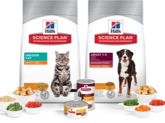 Сухий корм преміум-класу для кішок: рейтинг і список кращих кормів для котів, відгуки