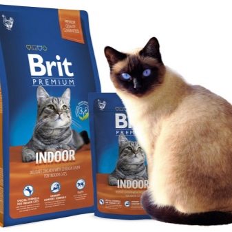 Сухий корм преміум-класу для кішок: рейтинг і список кращих кормів для котів, відгуки