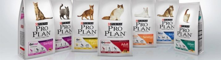 Сухий корм преміум-класу для кішок: рейтинг і список кращих кормів для котів, відгуки