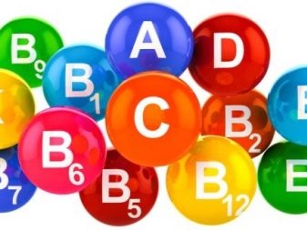 Сухий корм преміум-класу для кішок: рейтинг і список кращих кормів для котів, відгуки