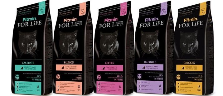 Сухий корм преміум-класу для кішок: рейтинг і список кращих кормів для котів, відгуки