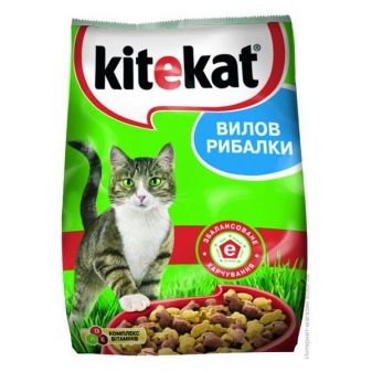 Сухий корм преміум-класу для кішок: рейтинг і список кращих кормів для котів, відгуки