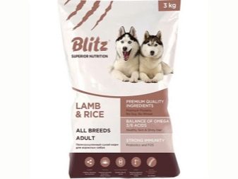 Суміш хаскі і вівчарки (26 фото): помісі з німецької та кавказької вівчарками, догляд за цуценятами метиса