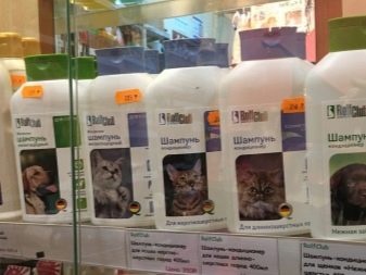 Суміш мопса і китайського чубатого (17 фото): характер породи, виховання та догляд