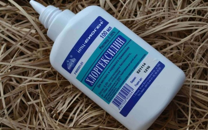 Суміш мопса і китайського чубатого (17 фото): характер породи, виховання та догляд