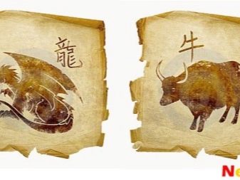 Сумісність Бика і Дракона (10 фото): як чоловіки і жінки проявляють себе в любові і з ким сумісні?