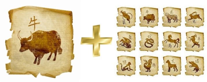 Сумісність Бика і Мавпи (13 фото): наскільки сумісні в любові та інших сферах життя чоловіка і жінки, народжені в ці роки, за східним гороскопом?