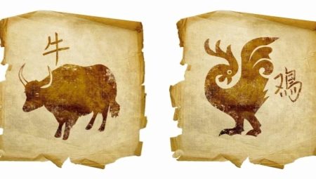 Сумісність Бика і Півня (17 фото): наскільки сумісні в любові чоловіка і жінки, народжені в ці роки за східним гороскопом?