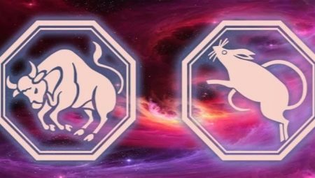 Сумісність Бика і Щури (12 фото): наскільки сумісні чоловіки і жінки в коханні та шлюбі за східним гороскопом?