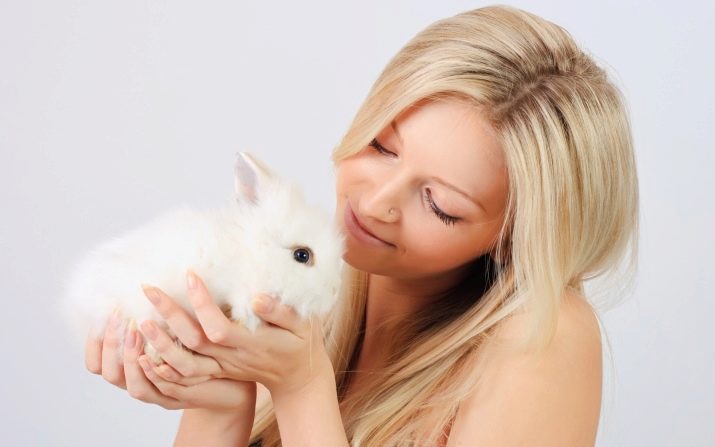 Сумісність Кроликів і Птахів (13 фото): особливості характеру Котів і Півнів, взаємини чоловіків і жінок у різних сферах життя