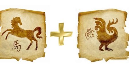 Сумісність Півня і Коні (18 фото): сумісність жінок і чоловіків у коханні, дружбі і сімейного життя