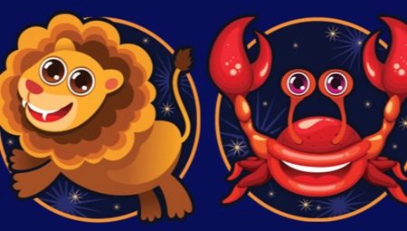 Сумісність Раків і Львів: чоловік і жінка в любовних відносинах і сімейного життя, характеристика знаків зодіаку