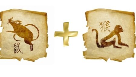 Сумісність Щурів та Мавп (13 фото): характеристика представників цих років, за східним календарем, поведінка чоловіків і жінок в любові