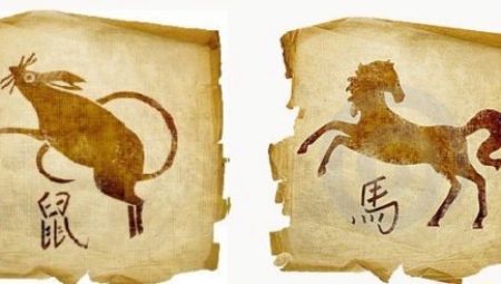 Сумісність Щури і Коня (12 фото): вектор чоловіків і жінок в любові і шлюбі