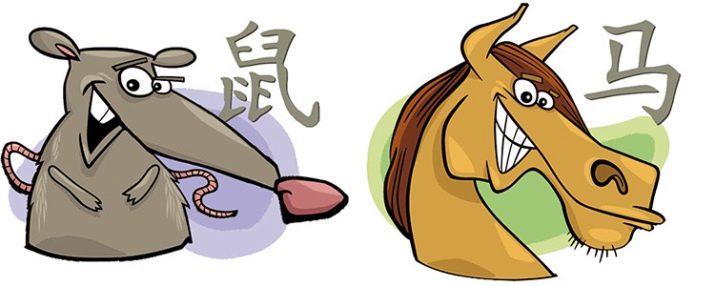 Сумісність Щури і Коня (12 фото): вектор чоловіків і жінок в любові і шлюбі