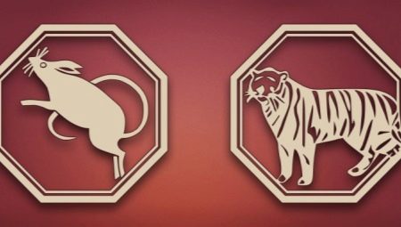 Сумісність Щури і Тигра (11 фото): сполучуваність жінки і чоловіка в любові за східним гороскопом