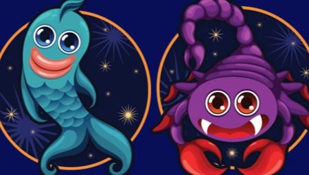 Сумісність Скорпіона і Риби: чоловік і жінка в любовних відносинах, опис знаків зодіаку