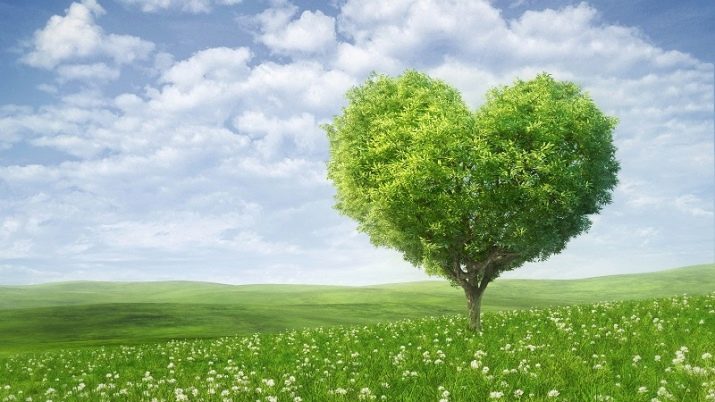 Сумісність Тигра і Собаки (12 фото): наскільки чоловіки і жінки сумісні в любові і шлюбі?