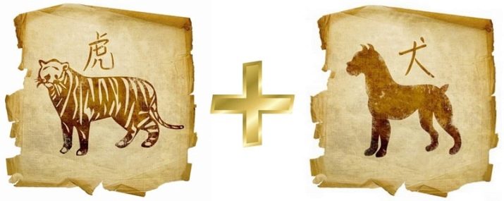 Сумісність Тигра і Собаки (12 фото): наскільки чоловіки і жінки сумісні в любові і шлюбі?