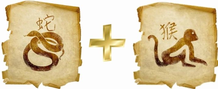 Сумісність Змії і Мавпи (14 фото): сумісні чоловік і жінка цих знаків у любові за східним гороскопом?