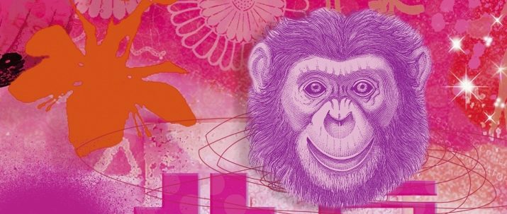 Сумісність Змії і Мавпи (14 фото): сумісні чоловік і жінка цих знаків у любові за східним гороскопом?