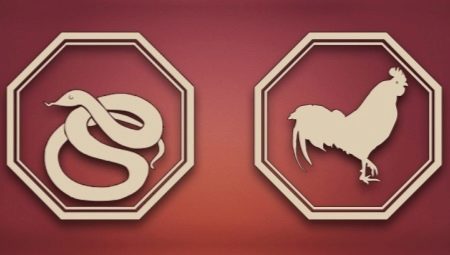 Сумісність Змії і Півня (16 фото): сумісність жінки і чоловіка в любові за східним гороскопом. Як часто бувають сварки у Змії і Півня?