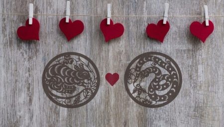 Сумісність Змії і Щури (14 фото): сумісні чоловіки і жінки в любові, дружбі і робочих відносинах?