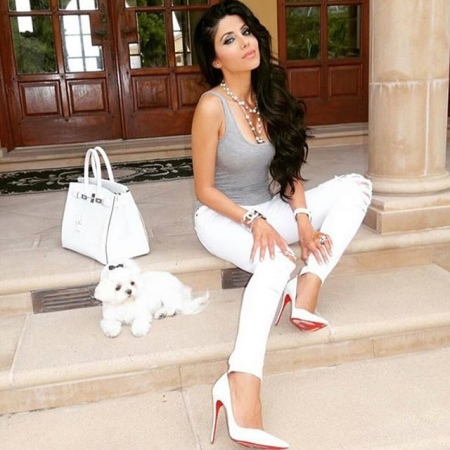 Сумка Біркін (67 фото): оригінальні моделі, розміри, історія створення Hermes Bbirkin