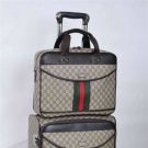 Сумка Gucci (64 фото): жіночі моделі сумок Гуччі, колекції