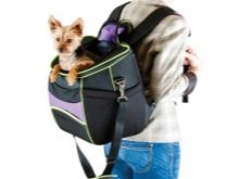 Сумка-переноска для собак дрібних порід: кенгуру, рюкзак, слінг і інші види сумок для маленьких собачок, рекомендації з вибору