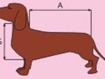 Сумка-переноска для собак дрібних порід: кенгуру, рюкзак, слінг і інші види сумок для маленьких собачок, рекомендації з вибору